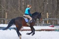 A girl on a horse jumps gallops. A girl trains riding a horse in a small paddock. A cloudy winter day Royalty Free Stock Photo