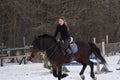 A girl on a horse jumps gallops. A girl trains riding a horse in a small paddock. A cloudy winter day Royalty Free Stock Photo