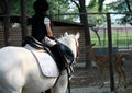 Girl and horse