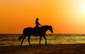 Girl with horse on seacoast Royalty Free Stock Photo