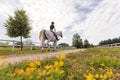 Girl, a horseback rider, riding snow white horse on a sunny day Royalty Free Stock Photo