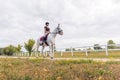 Girl, a horseback rider, riding snow white horse on a sunny day Royalty Free Stock Photo