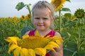 The girl with a huge sunflower