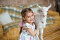 girl is hugging a white baby goat. She is laughing, happy, and wearing a summer cotton dress with braided hair and pink ribbons. Royalty Free Stock Photo