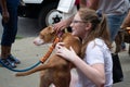Girl hugs an adoptable dog Royalty Free Stock Photo