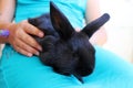 Girl hugs little rabbit pet in hands.