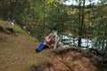 A girl with a husky walks in the forest.