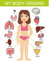 Girl internal organs. hild vector medical organs system. Female human internal organs on girl body infographic diagram