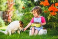 Little girl taking care of her pet feeds dog from bowl with dry food