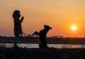 A girl in a jacket trains a guard dog of the Rottweiler breed against the backdrop of a lake and sunset Royalty Free Stock Photo