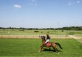 Girl jockey on the horse pulls reins Royalty Free Stock Photo