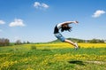 Girl jump Royalty Free Stock Photo