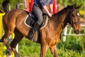 Girl jumping with horse Royalty Free Stock Photo