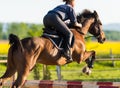 Girl jumping with horse Royalty Free Stock Photo