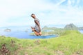 Girl jumping on Padar Island Royalty Free Stock Photo