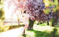 Girl jumping in pink cherry blossom park. Holiday with girl in sakura. Girl and Sakura. Beautiful young woman enjoying Royalty Free Stock Photo