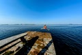 Girl jumping with a wooden bridge in the water in the summer.Toning Royalty Free Stock Photo