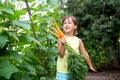 Girl kid happily holding fresh harvesting orange carrot. concept of organic homemade vegetables harvest carrots