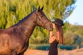A girl kisses a horse in the rays of the setting sun