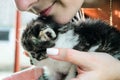 Girl kisses a small kitty Royalty Free Stock Photo
