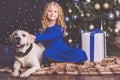 Girl and labrador dog, christmas concept Royalty Free Stock Photo