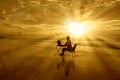 Girl-with-laptop-at-sunset-on-the-beach Royalty Free Stock Photo