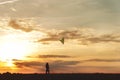 Girl launches a kite