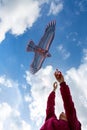 Girl launches a kite. Flying kite. Blue sky with clouds. Kite in the form of an eagle Royalty Free Stock Photo