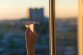 A girl is launching a paper airplane from a window at sunset. Royalty Free Stock Photo