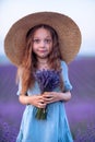 Girl lavender field in a blue dress with flowing hair in a hat stands in a lilac lavender field Royalty Free Stock Photo