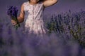 girl lavender field in a pink dress holds a bouquet of lavender on a lilac field. Aromatherapy concept, lavender oil