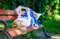 Girl lay bench park relaxing with book, green nature background. Woman spend leisure with book. Girl reading outdoors Royalty Free Stock Photo