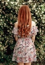 A girl in a light summer dress stands near a bird cherry bush on a hot summer day. Royalty Free Stock Photo