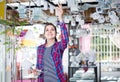 girl in lighter shop choosing modern glass chandelier for house interior Royalty Free Stock Photo