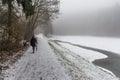 Girl lonely umbrella walking path trees Winter