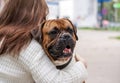 Girl with long brown hair and a white sweater hugs a dog a German boxer