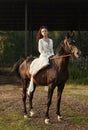 Girl in a long dress riding a horse, a beautiful woman riding a horse in a field in autumn. Country life and fashion, noble steed Royalty Free Stock Photo
