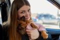 Girl with long hair in a black jacket and a small dog in pink clothes near window of a car Royalty Free Stock Photo