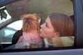 Girl with long hair in a black jacket and a small dog in pink clothes near window of a car Royalty Free Stock Photo