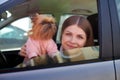 Girl with long hair in a black jacket and a small dog in pink clothes near window of a car Royalty Free Stock Photo