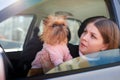 Girl with long hair in a black jacket and a small dog in pink clothes near window of a car Royalty Free Stock Photo