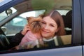 Girl with long hair in a black jacket and a small dog in pink clothes near window of a car Royalty Free Stock Photo