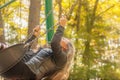 A girl with long hair swinging on a swing in an autumn park. Royalty Free Stock Photo