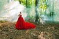 A girl in a long red dress and a royal crown Royalty Free Stock Photo