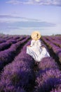 Girl in a long white dress walks in a field of lavender. View from the back. She`s wearing a big straw hat Royalty Free Stock Photo