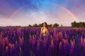 A girl in a long yellow dress against the background of a blooming purple lupine field and a sunset sky. Royalty Free Stock Photo