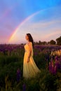 A girl in a long yellow dress against the background of a blooming purple lupine field and a sunset sky. Royalty Free Stock Photo