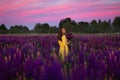 A girl in a long yellow dress against the background of a blooming purple lupine field and a sunset sky. Royalty Free Stock Photo