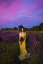 A girl in a long yellow dress against the background of a blooming purple lupine field and a sunset sky. Royalty Free Stock Photo