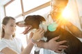 Girl looking while doctor using equipment on dog at veterinary clinic